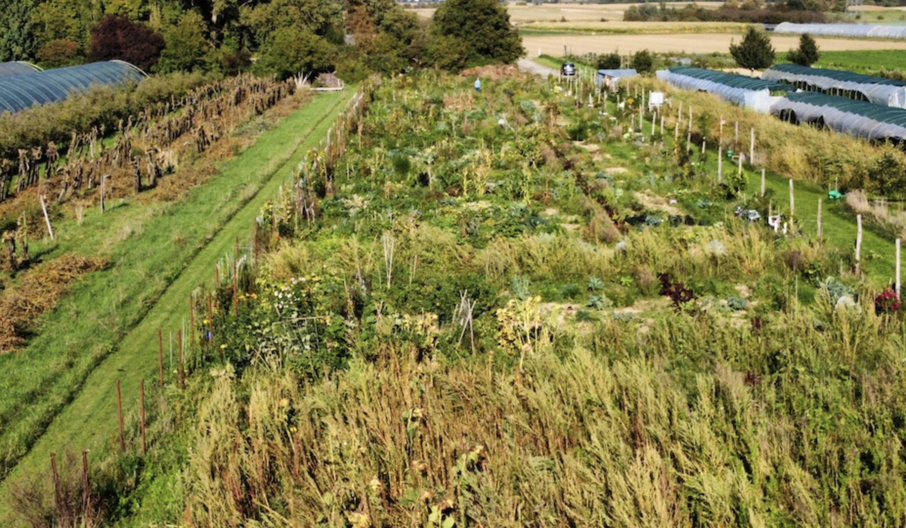 Gartencoop